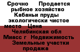 Срочно!!!  Продается рыбное хозяйство “Кабаньи пруды“- экологически чистое место › Цена ­ 15 000 000 - Челябинская обл., Миасс г. Недвижимость » Земельные участки продажа   